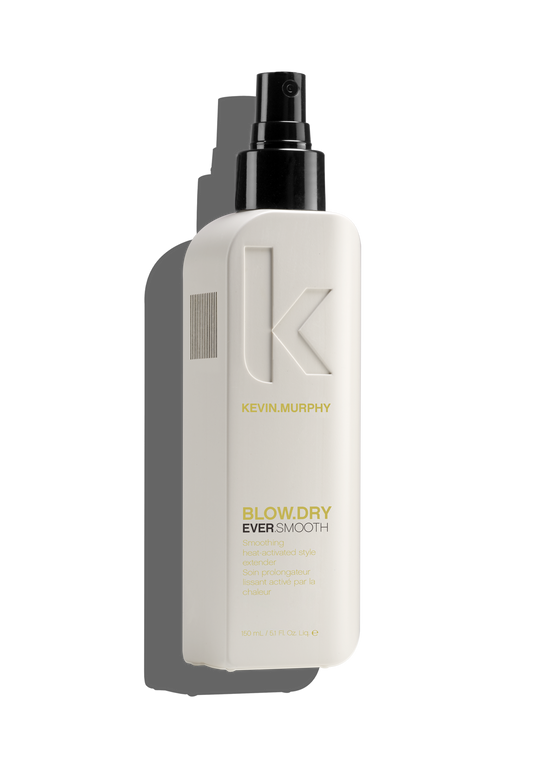 Ever Smooth Blow Dry